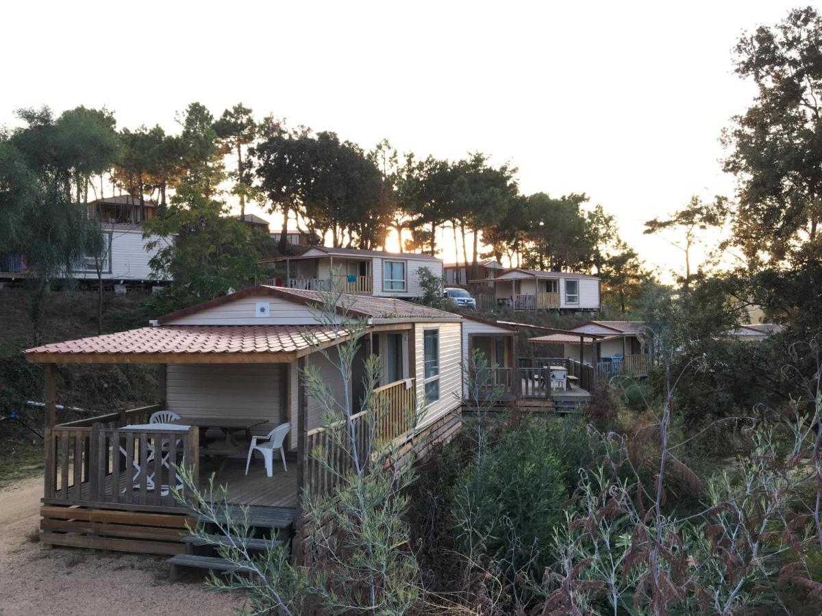 Campsite Tikiti *